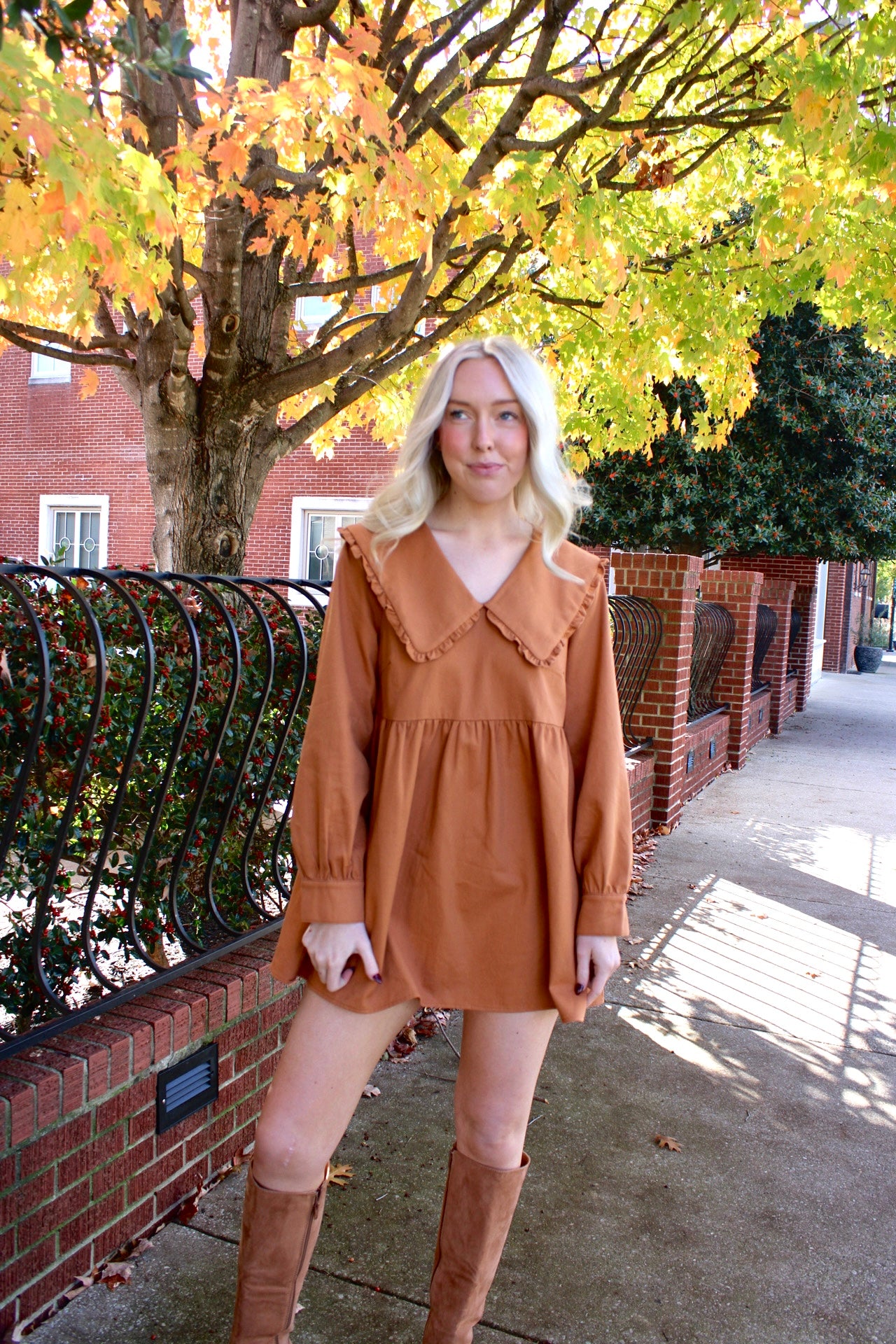 Pumpkin Pie Babydoll Dress