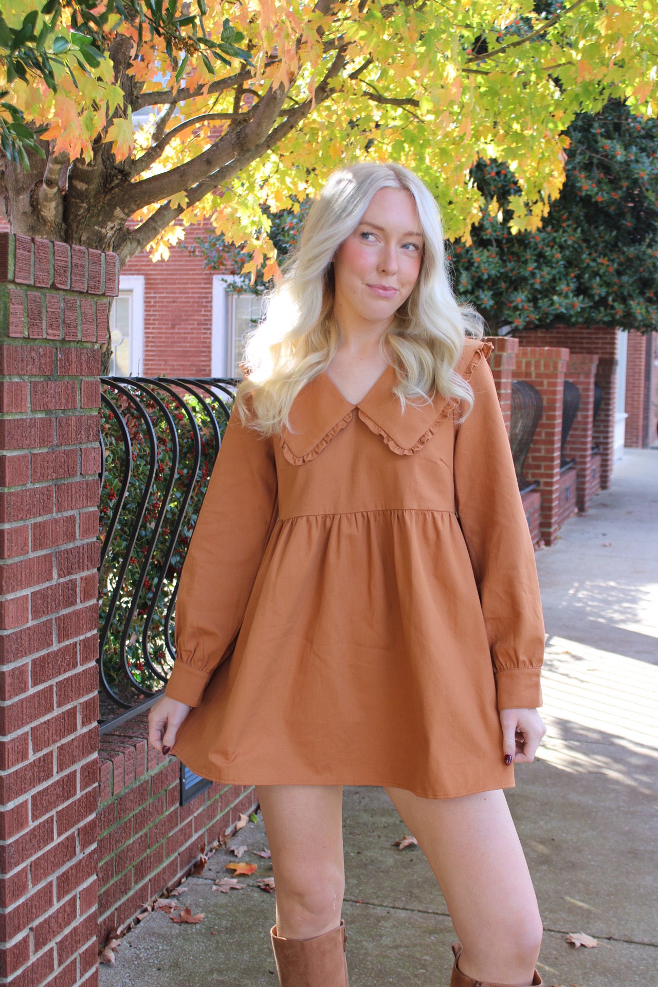 Pumpkin Pie Babydoll Dress