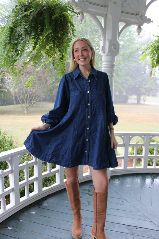 Kelsie Denim Dress